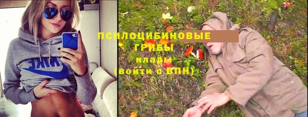 apvp Абаза