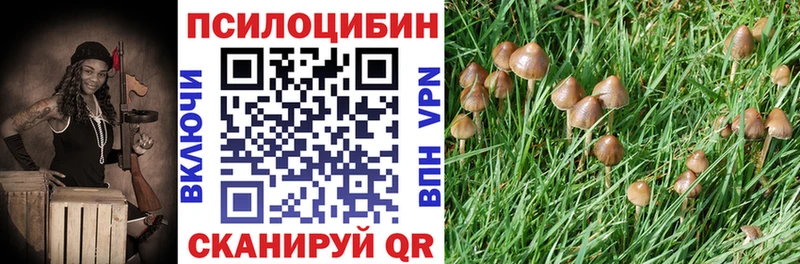 Галлюциногенные грибы мицелий  Аткарск 